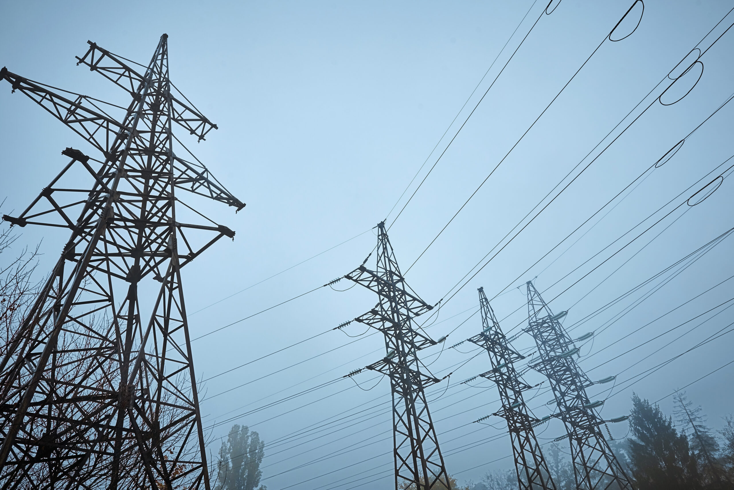 Electricity retailers / Utilities